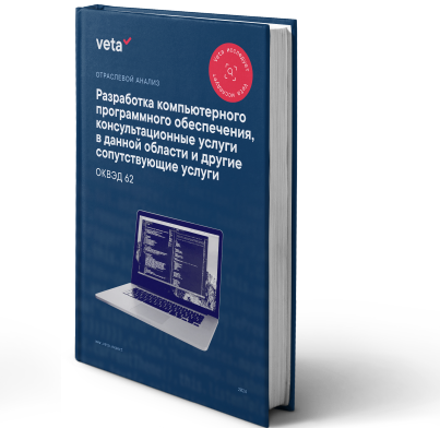 Исследование сферы разработки компьютерного программного обеспечения и оказания консультационных услуг